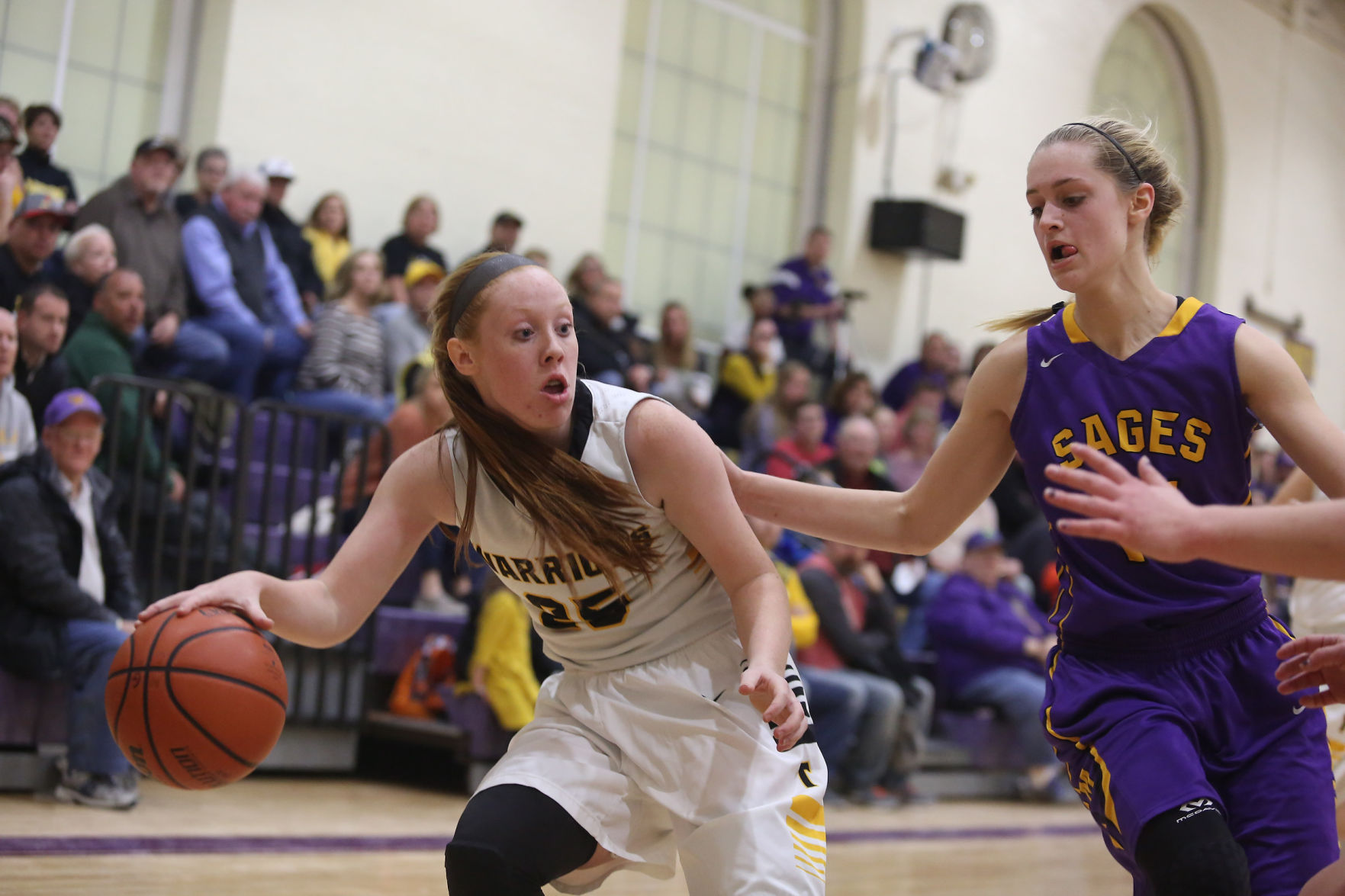 decgal monticello tuscola g 20 122817.JPG